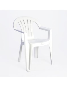 Silla con Brazos Rayas