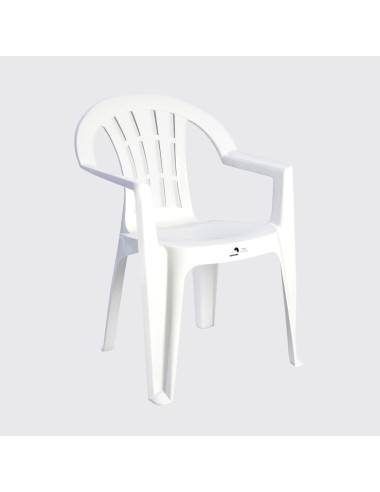 Silla con Brazos Rayas