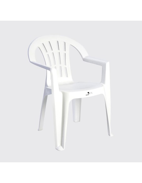 Silla con Brazos Rayas