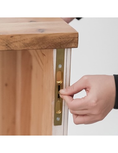 Mostrador de Madera Plegable