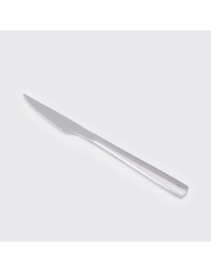 Cuchillo Acero Inoxidable Modelo Hotel