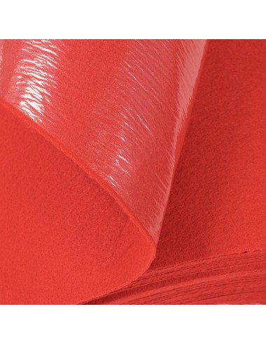 Carpete Plastificada