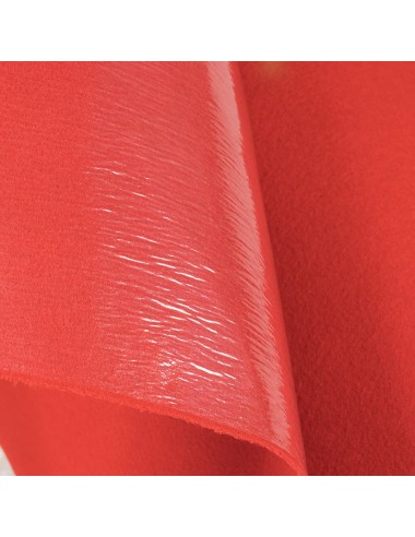 Carpete Plastificada