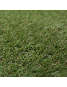 Césped Artificial 20 mm Grosor Bobina de 2 x 30m 2