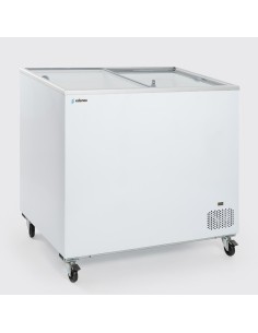 Arca Congelador Horizontal