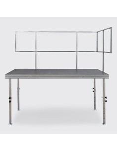 Barandilla de Escenario 2