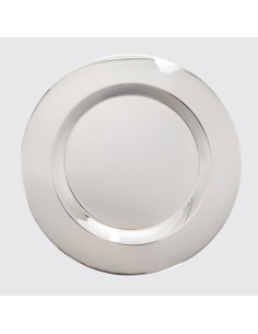 Placa de aço inoxidável lisa 2