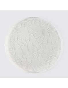 Cristal Diamond sob a placa