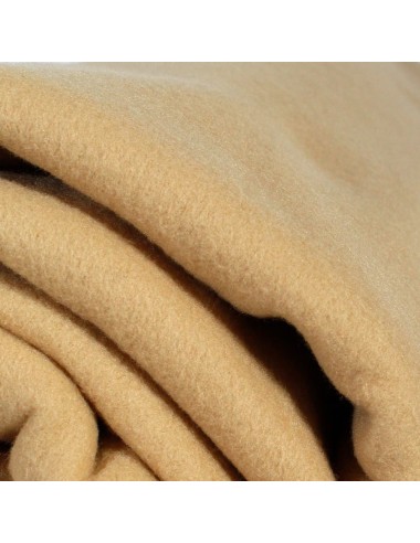 Manta lisa polar, pack 2 unidades