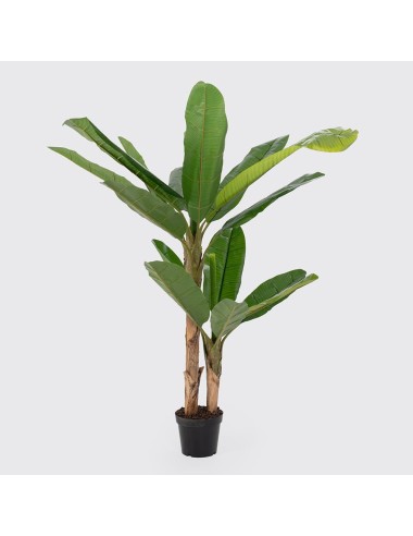 Bananeira artificial