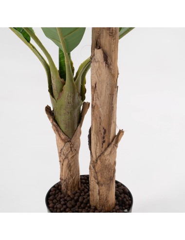 Bananeira artificial