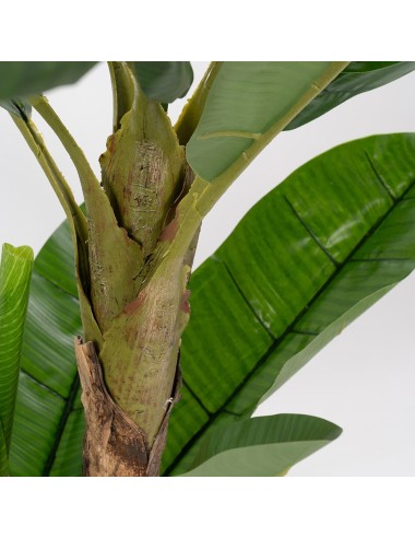 Bananeira artificial