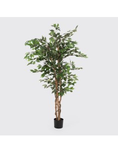 Planta de figo artificial