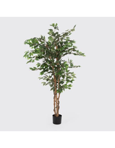 Planta Higuera Artificial