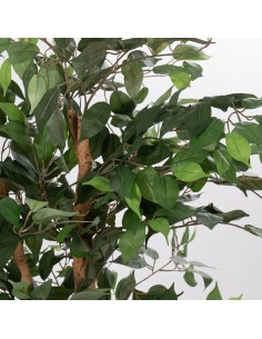 Planta Higuera Artificial 2