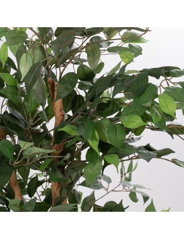 Planta Higuera Artificial