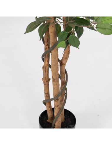 Planta Higuera Artificial