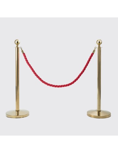 Pack 2 Mastros Catenária Dourada + Cordão