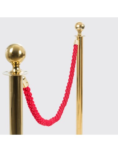 Pack 2 Mastros Catenária Dourada + Cordão