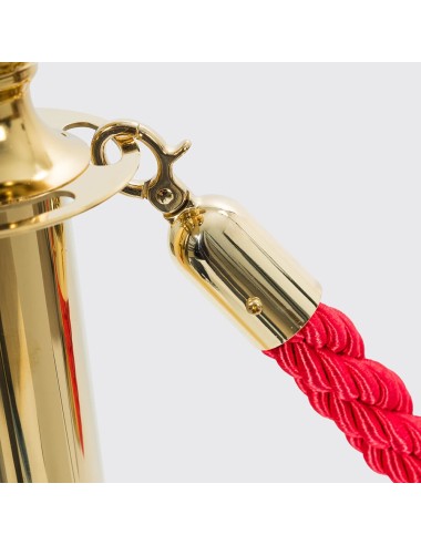 Cordão de Catenárias