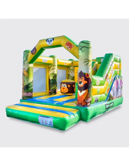 Castillo Hinchable Compacto 5x3 con Tobogán (SELVO)