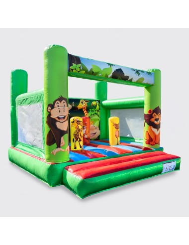 Castillo Hinchable Plano 4x4 La Selva