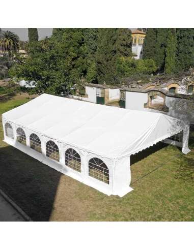 Carpa 8x12 premium vista aire puerta grande