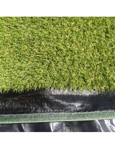 Césped Artificial 20 mm Grosor Bobina de 2 x 30m