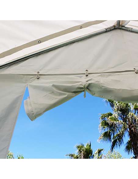 Elásticos con bola para carpas