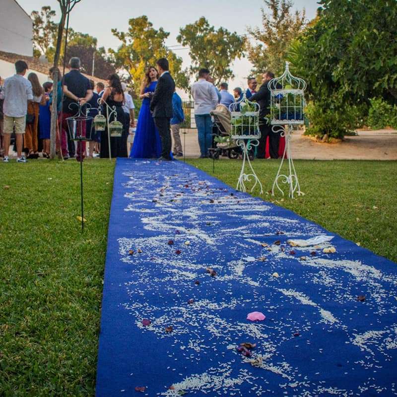 Moqueta Azul Barata, Hogar Eventos Bricolaje