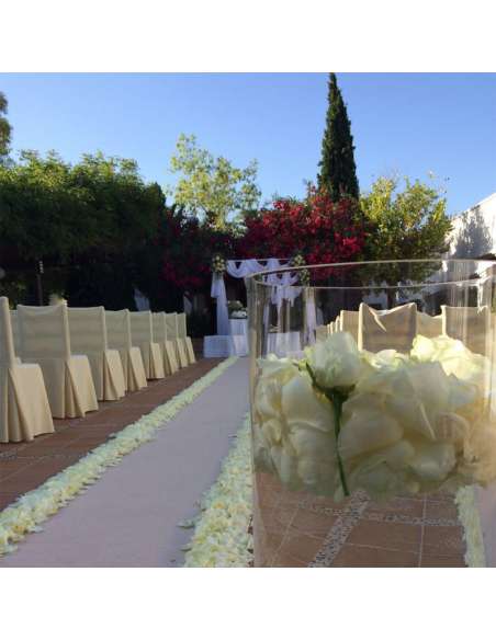 Moqueta color beige en boda civil