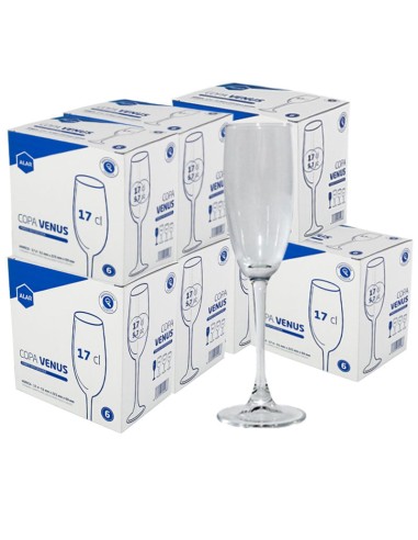 Pack Copa de champán y cava Venus Flure 17 cl.