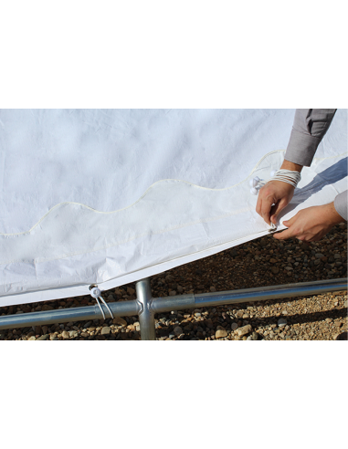 Carpa 3x4 Económica