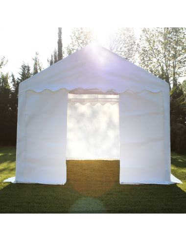 Carpa 3x4 Económica puerta