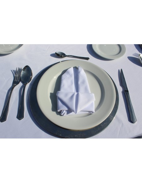 Guardanapos Brancos Ocasião