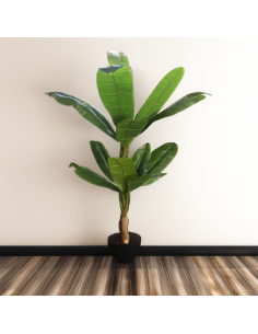 Planta platanera artificial portada 2