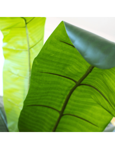 Planta platanera artificial detalle hojas