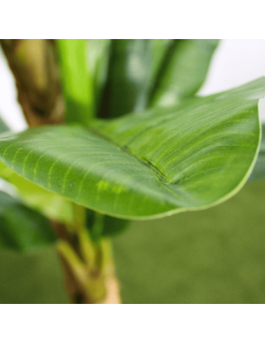 Bananeira artificial