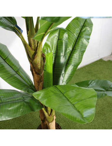 Planta platanera artificial plano cercano