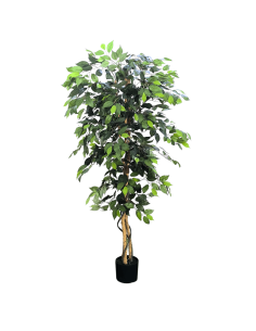 Planta Higuera Artificial portada