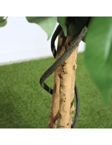 Planta Higuera Artificial detalle tronco