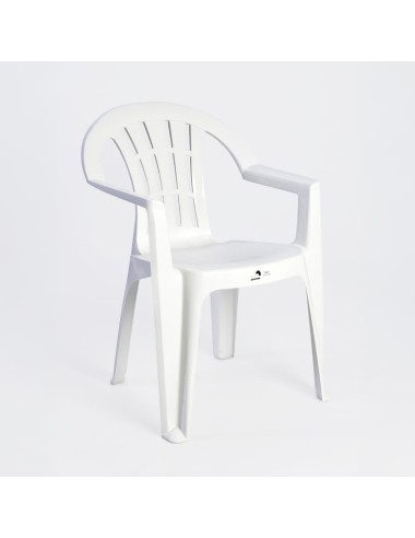 Silla con Brazos Rayas