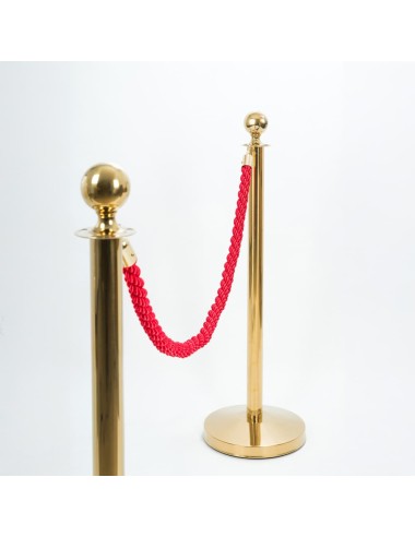 Pack 2 Mastros Catenária Dourada + Cordão