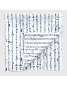 Guardanapo de Partituras 2