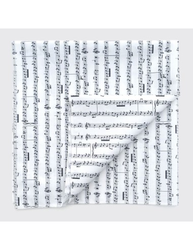 Servilleta de Partituras